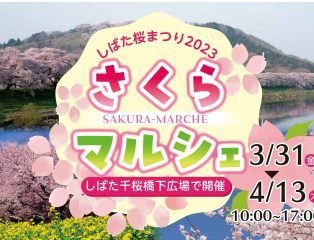 しばた桜まつり＆さくらマルシェ開催について